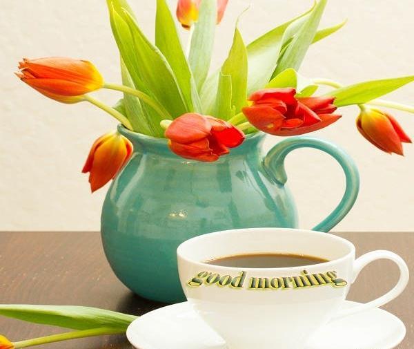 عکس صبح بخیر آلمانی