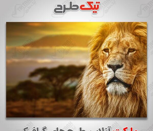 عکس شیر قهوه ای