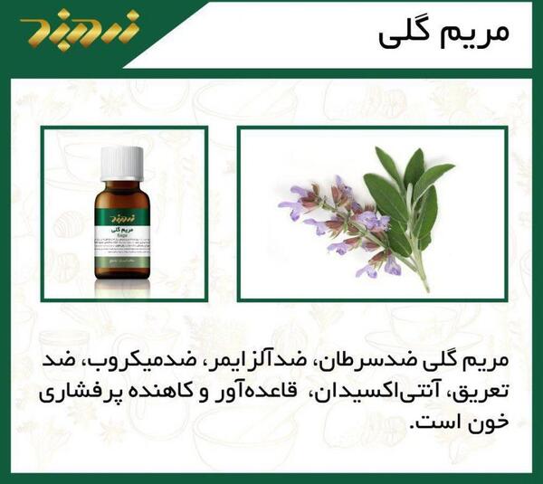 عکس گیاه گل مریم