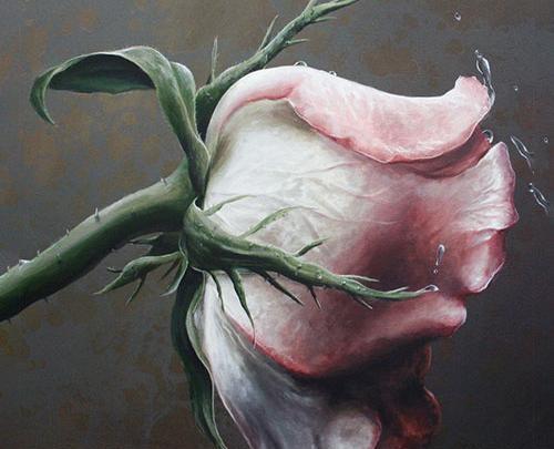 عکس مفهومی گل