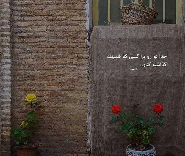 عکس مفهومی گل