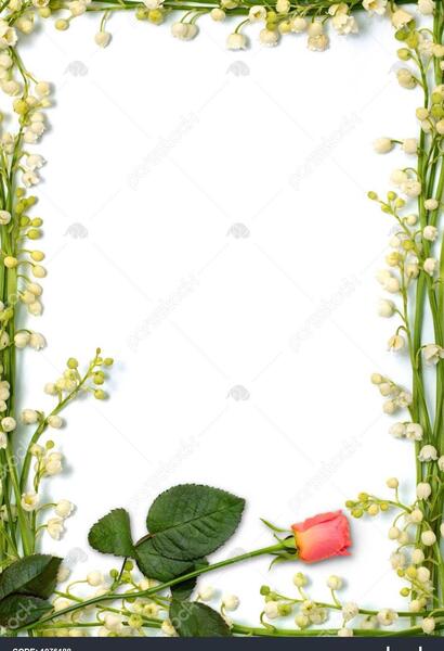 عکس مفهومی گل