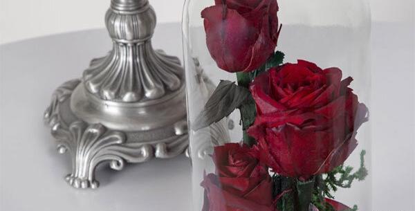 عکس مفهومی گل