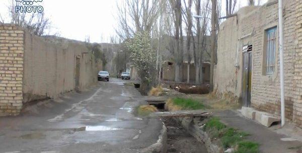 عکس حسن حافظ گلپایگان