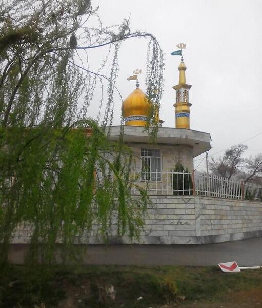 عکس حسن حافظ گلپایگان