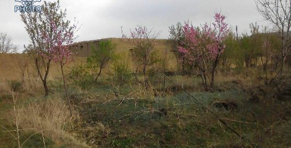 عکس حسن حافظ گلپایگان