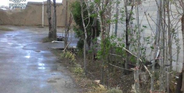 عکس حسن حافظ گلپایگان