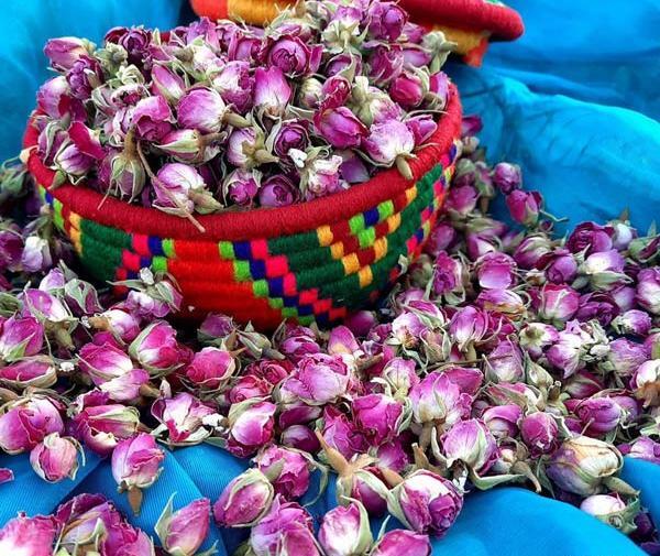 عکس ایده برای نگه داشتن گل خشک