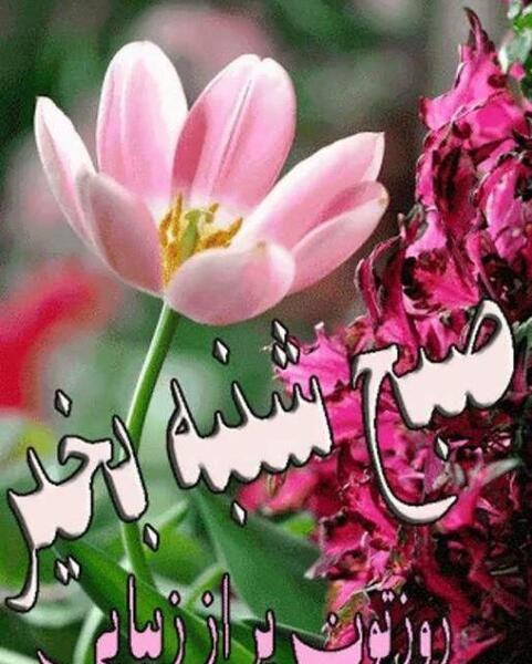 عکس صبح بخیر پنج شنبه