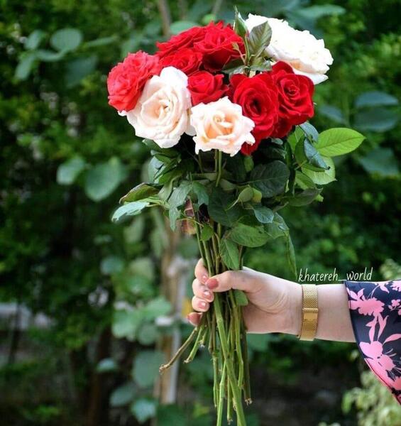 عکس پروفایل زیبا ی گل