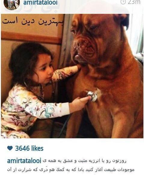 عکس تتلو شفاف