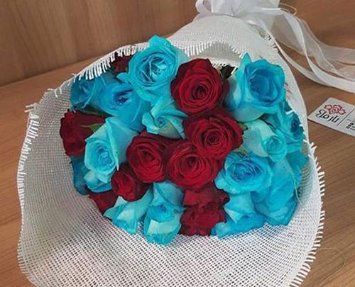 عکس دسته گل آبی رنگ