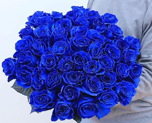 عکس دسته گل آبی رنگ