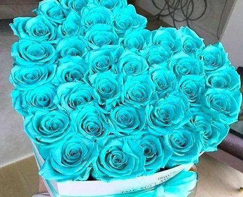 عکس دسته گل آبی رنگ