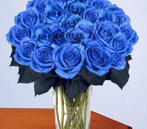 عکس دسته گل آبی رنگ