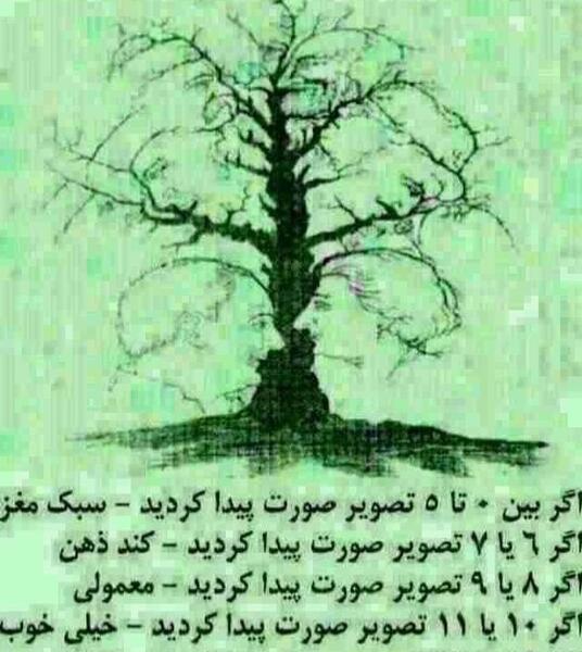 عکس شتر را در تصویر پیدا کنید