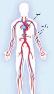 عکس سیاهرگ