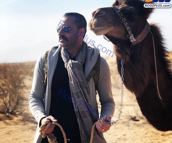 عکس شکار شتر