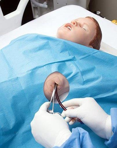 عکس ماکت قلب انسان