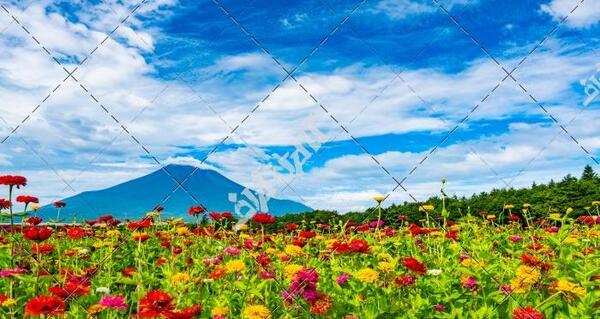 عکس منظره زیبا با کیفیت