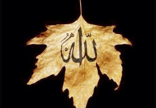 عکس الله خوشگل