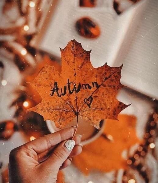 عکس زیبا برای پروفایل منظره