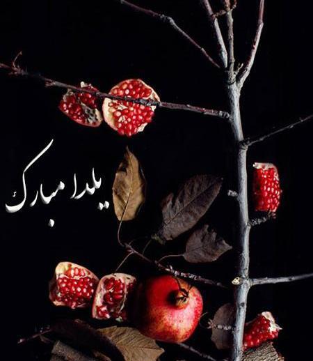عکس و نوشته یلدا مبارک