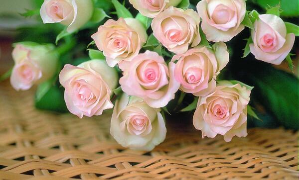 عکس گل های زیبا و فانتزی
