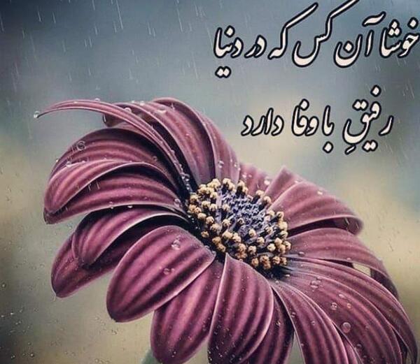 عکس رفیق گل