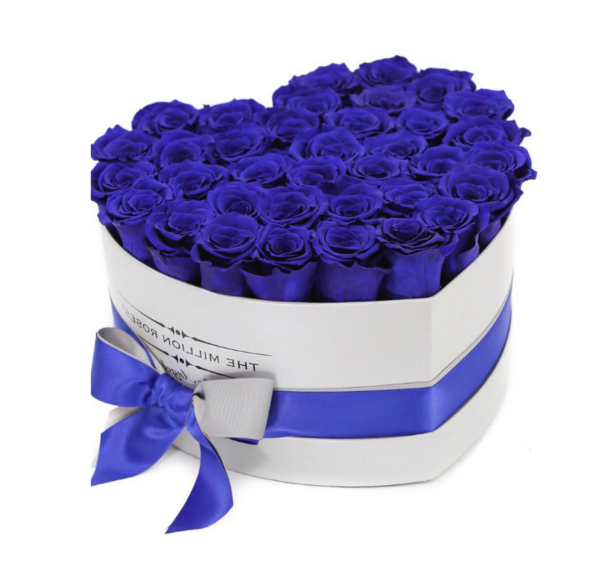عکس گل رز ابی و مشکی