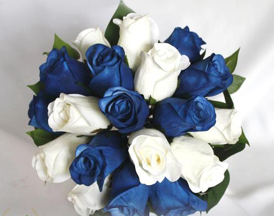 عکس گل رز ابی و مشکی