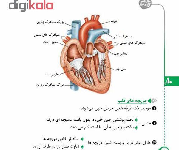 عکس قلب زیست دهم
