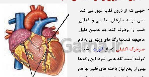 عکس قلب زیست دهم