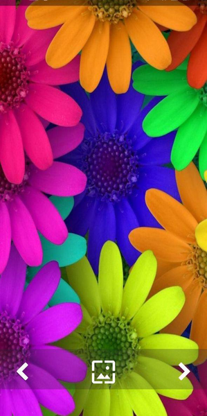عکس صفحه گوشی رنگی