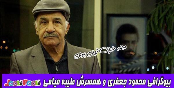 عکس طیبه جعفری