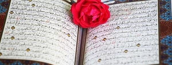 عکس قران متن