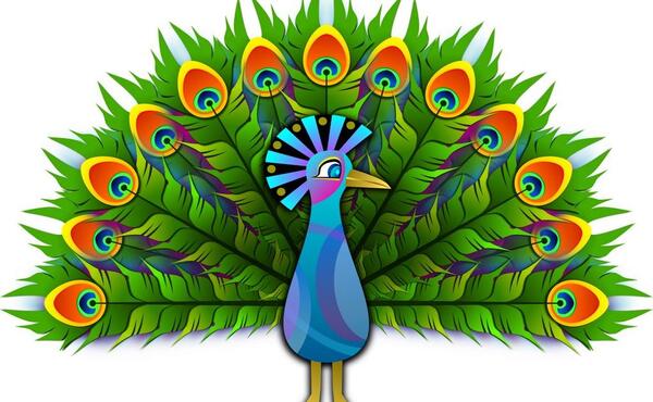 عکس طاووس کارتونی