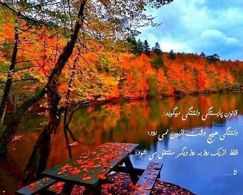 عکسهای رمانتیک طبیعت