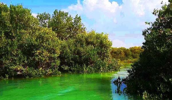 عکس طبیعت قشم