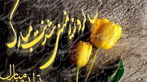 عکس تولدت مبارک امیر