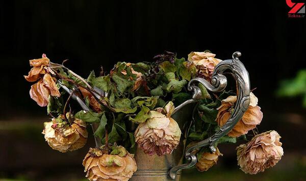 عکس ایده برای تزیین گلهای خشک