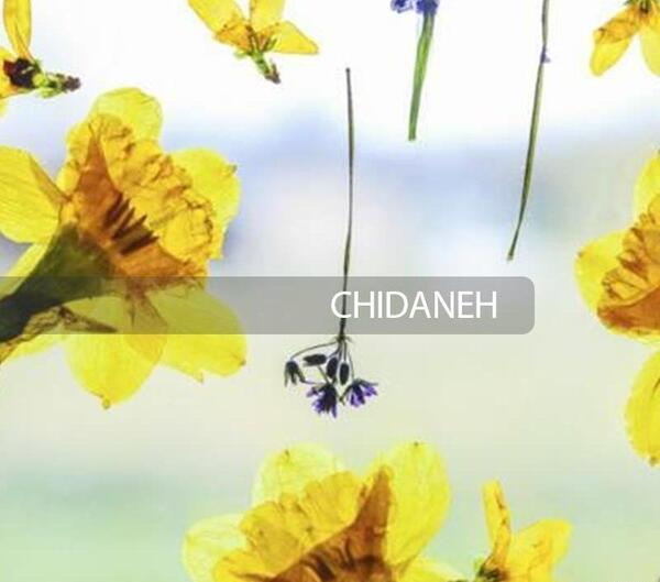 عکس ایده برای تزیین گلهای خشک