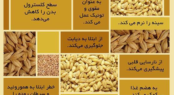 عکس جو جوانه زده