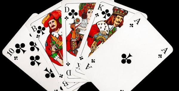 عکس شاه گشنیز