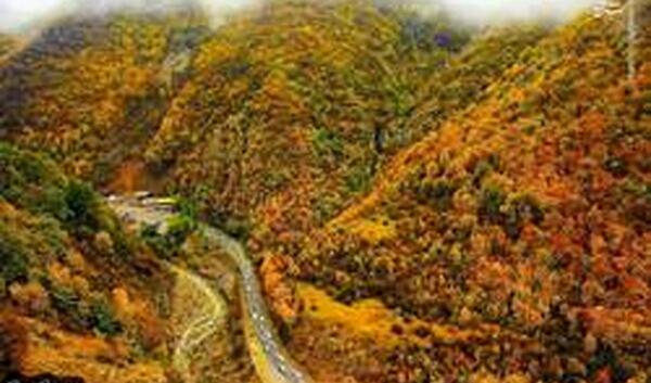 عکس طبیعت چالوس