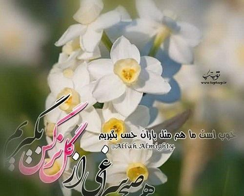 عکس نوشته صبح بخیر گل نرگس