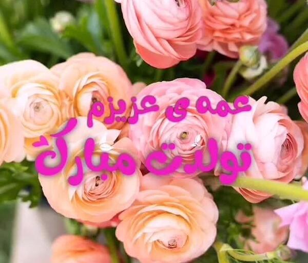 عکس تولد عمه جون