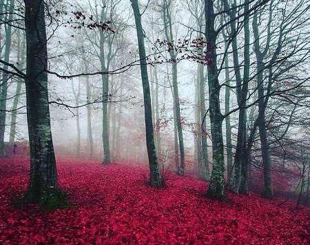 عکس زیبای طبیعت عاشقانه