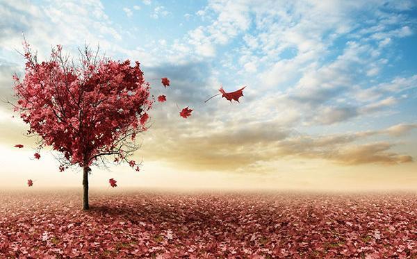 عکس زیبای طبیعت عاشقانه