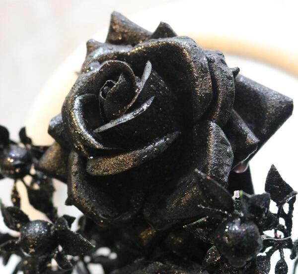 مشکی عکس گل رز